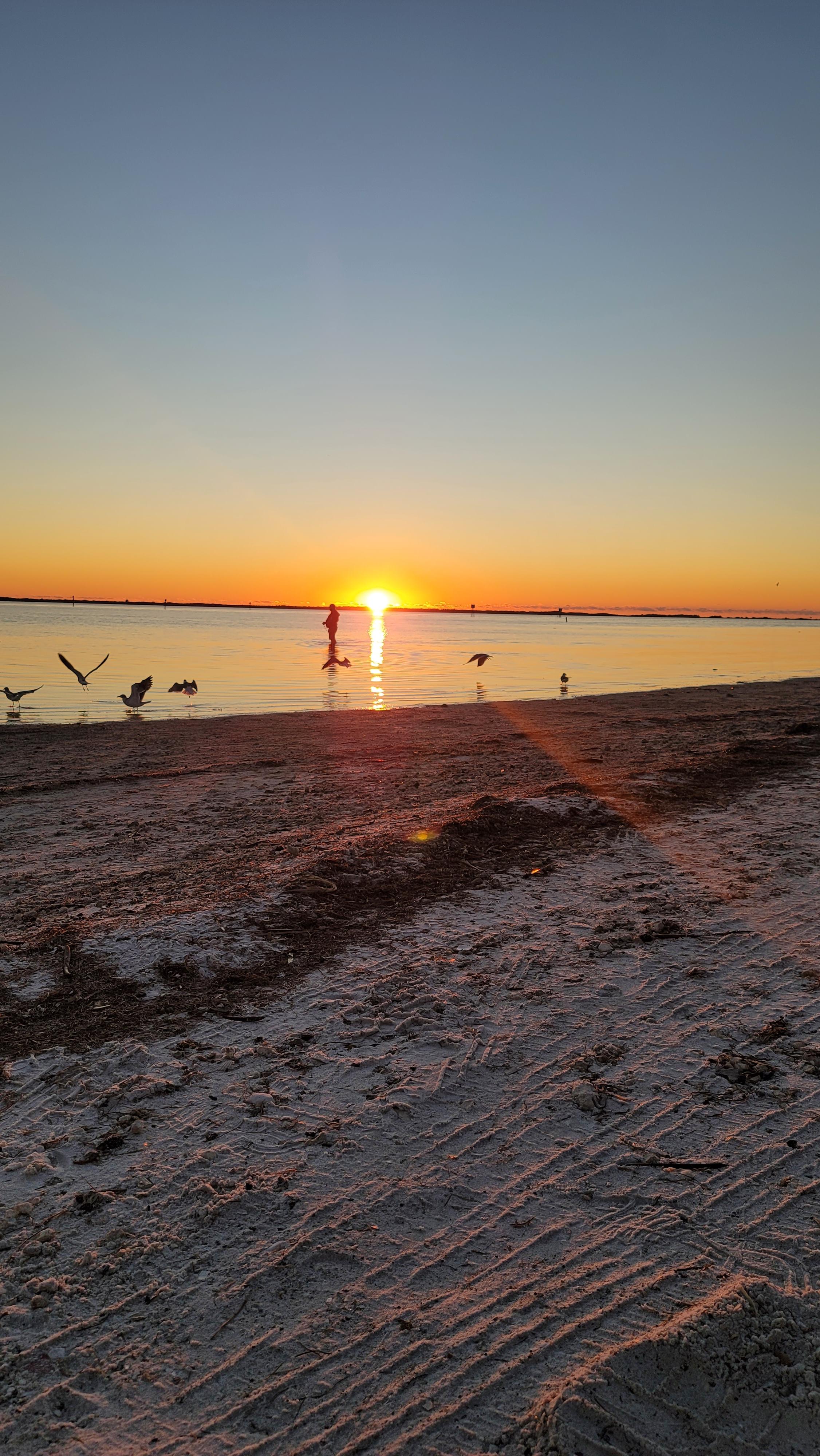 Lets Explore Honeymoon Island Together