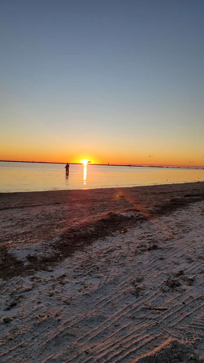One of Floridas bestloved state parks Honeymoon Island