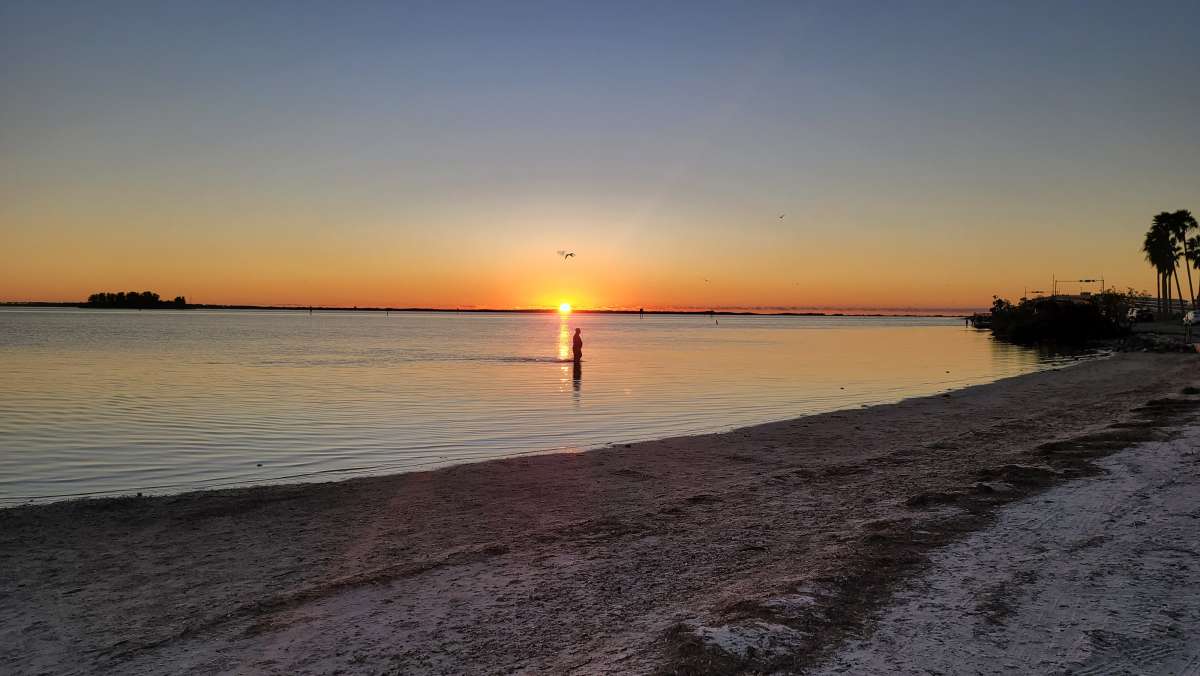 One of Floridas bestloved state parks Honeymoon Island