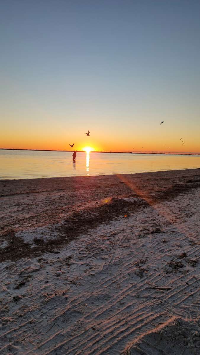 One of Floridas bestloved state parks Honeymoon Island