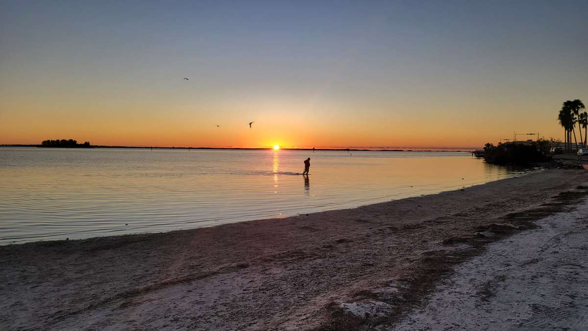 One of Floridas bestloved state parks Honeymoon Island