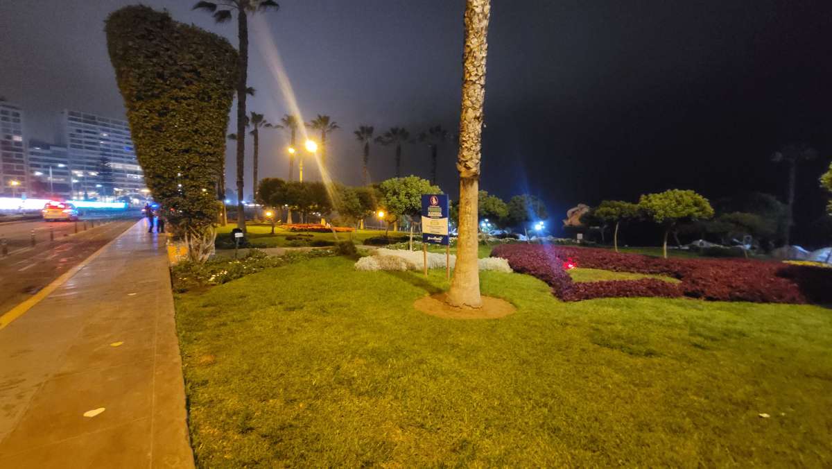 loves park at night
