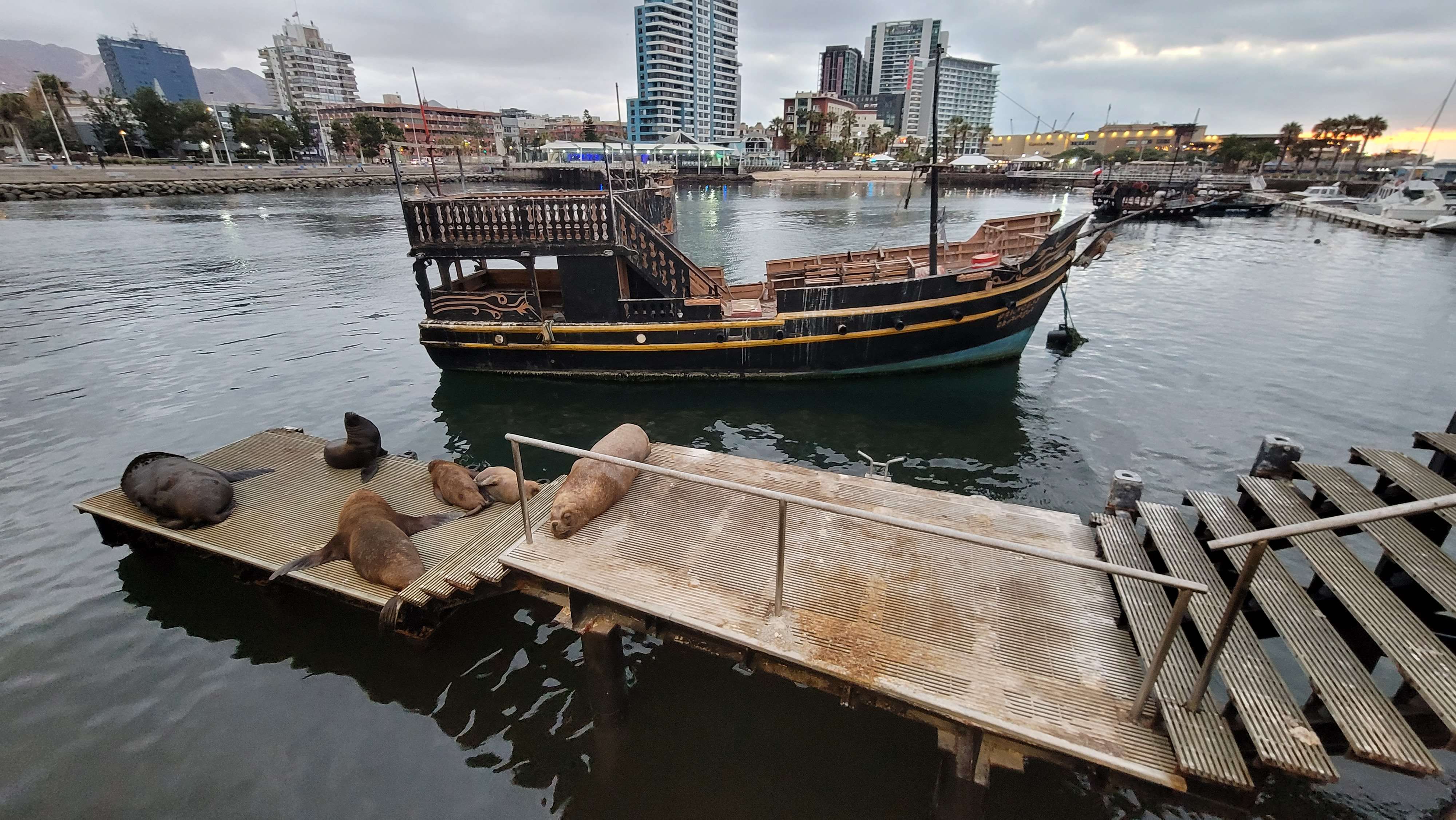 The Muelle Salitrero Compaa Melbourne Clark better known as the Muelle Histrico Historic Pier