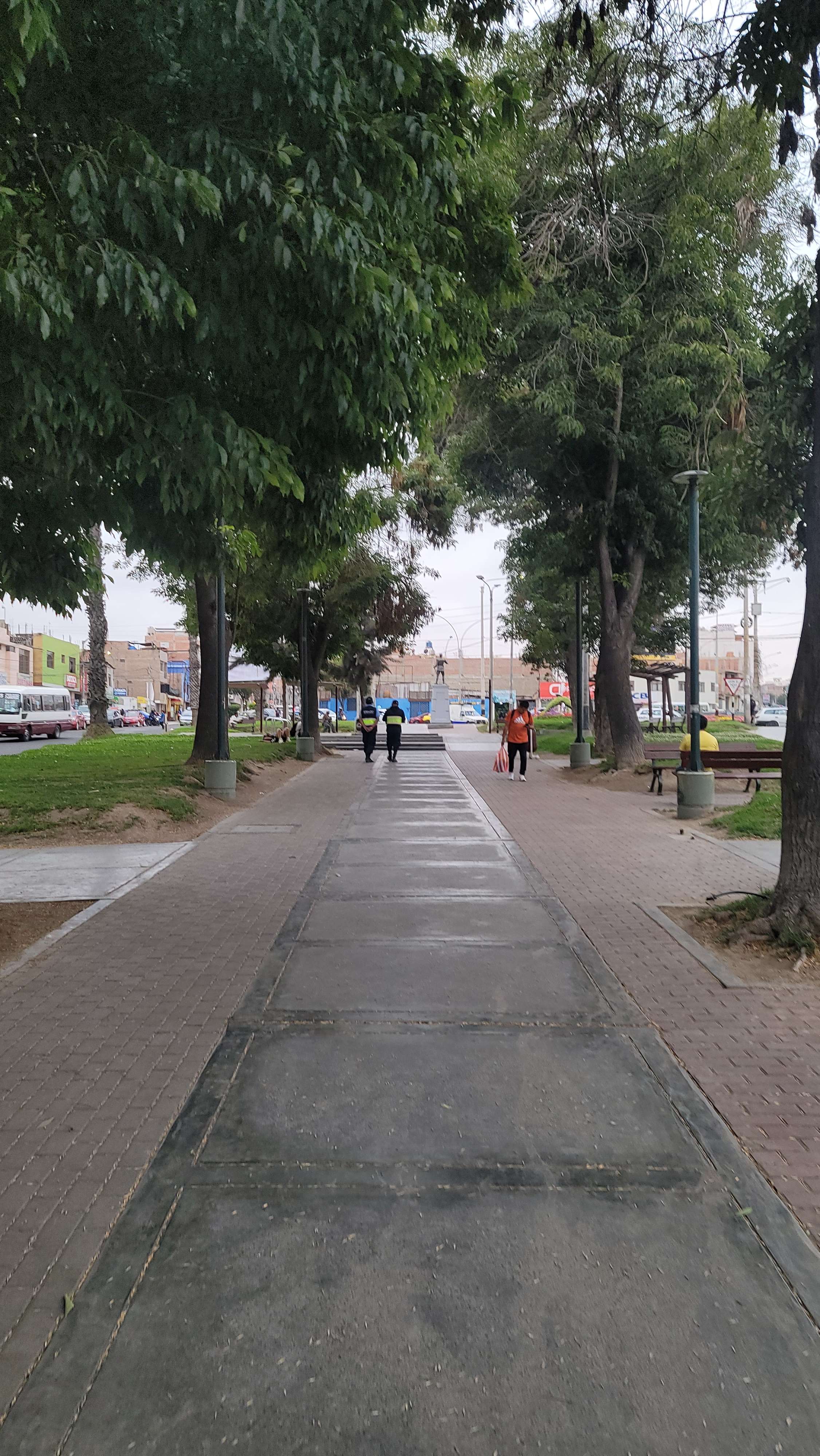 Tacna city main Street boulevard