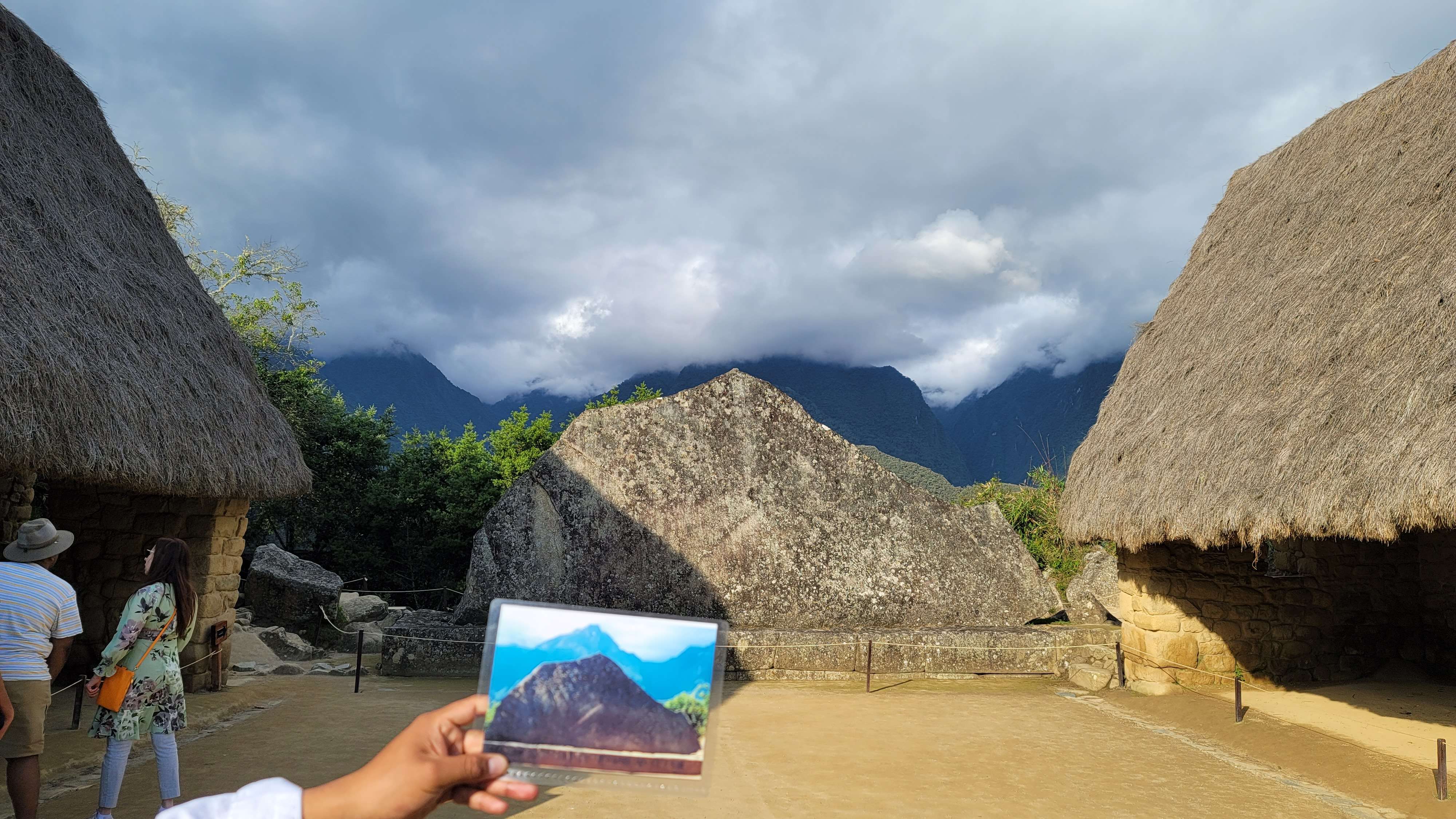 Llama on top of Machu Picchu looking over the citadel ruins