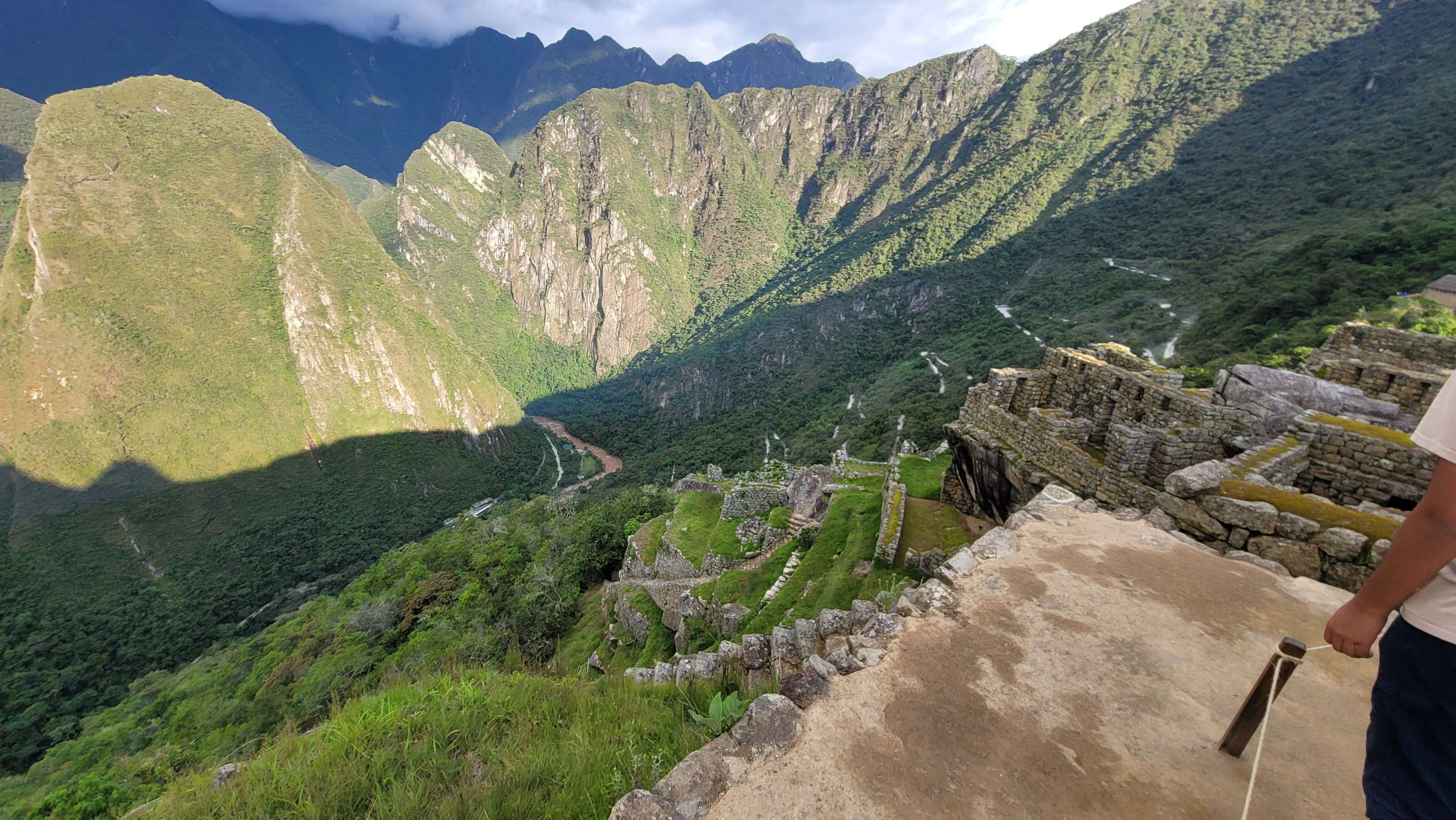 Llama on top of Machu Picchu looking over the citadel ruins