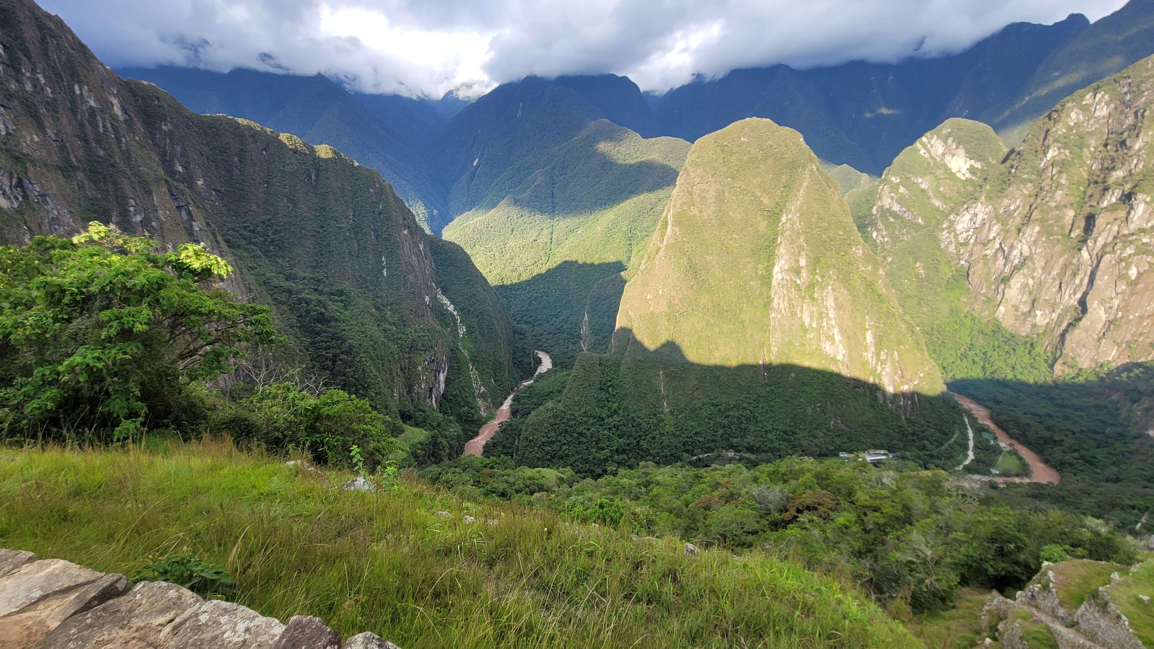 Llama on top of Machu Picchu looking over the citadel ruins