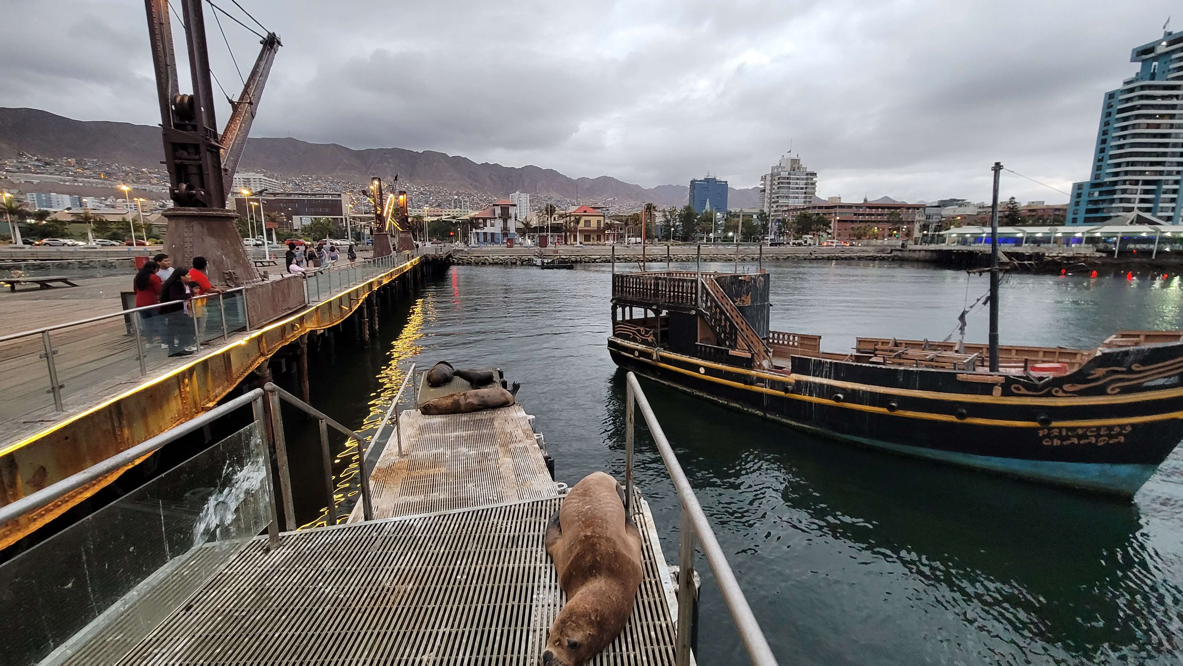 The Muelle Salitrero Compaa Melbourne Clark better known as the Muelle Histrico Historic Pier