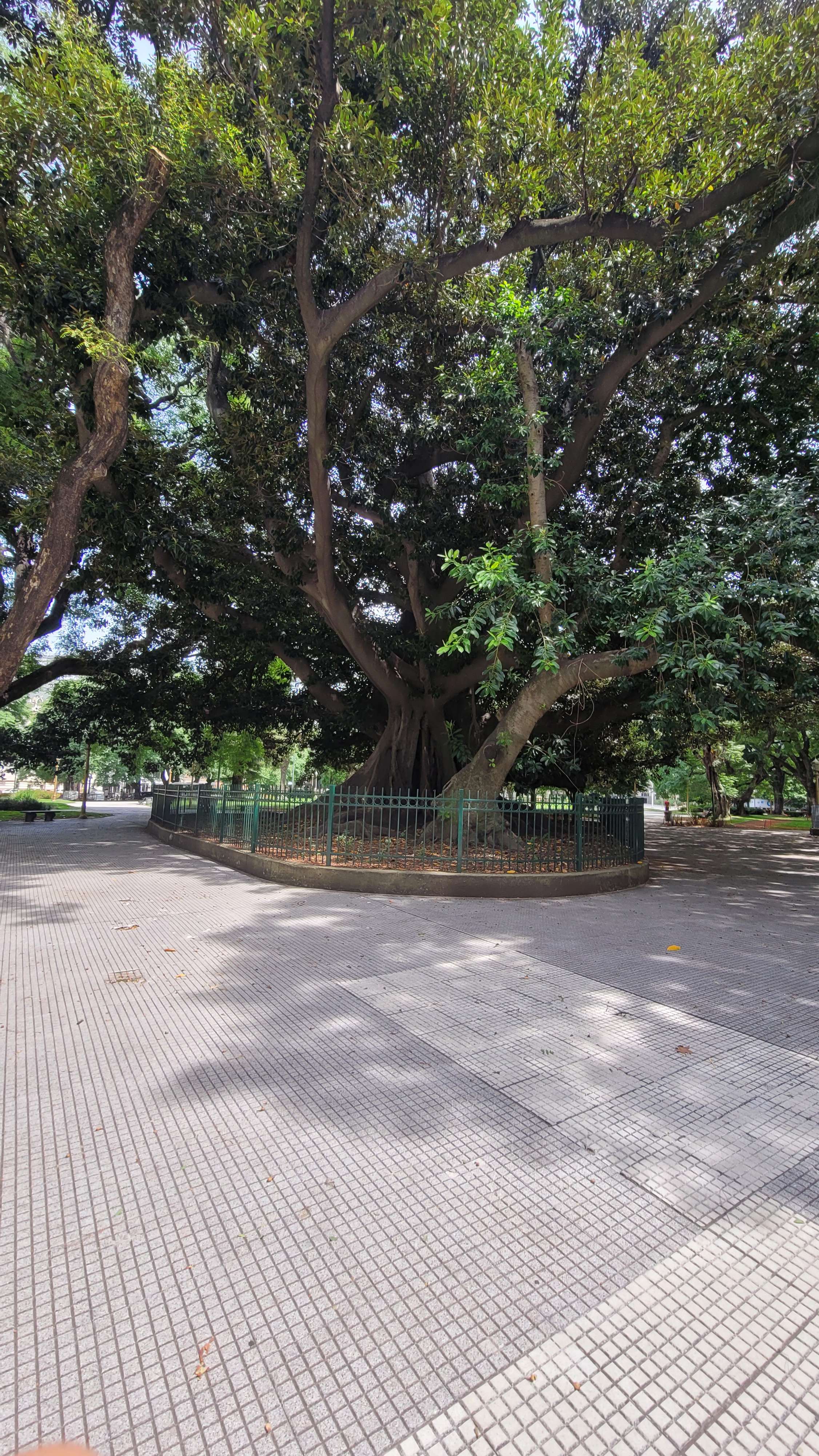 Plaza General San Martn