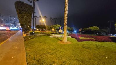 loves park at night