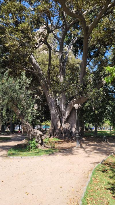 Plaza Las Heras